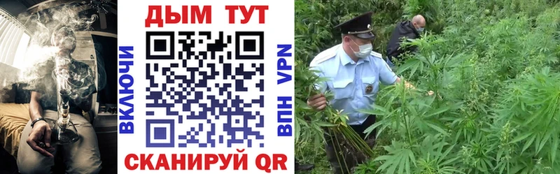 где можно купить Мышкин Марихуана MAZAR